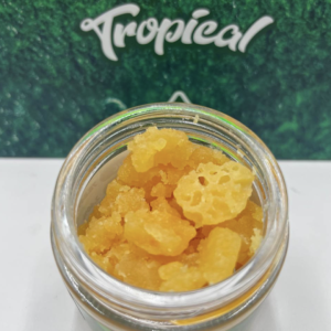 Alternative view of Whole Melt Live Resin Sugar V3 Tropical Edition | Mixed Strains Variety Pack