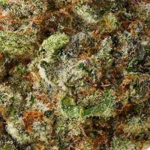 Alternative view of Super Buff Cherry