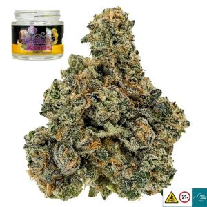 Cookies & Dreams Strain