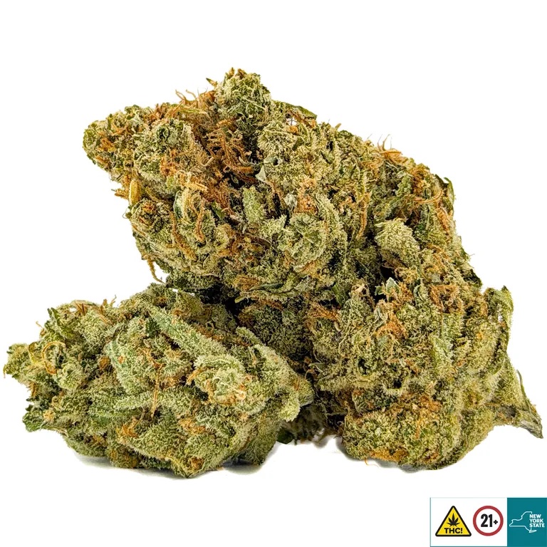 Super Lemon Haze - Image 2