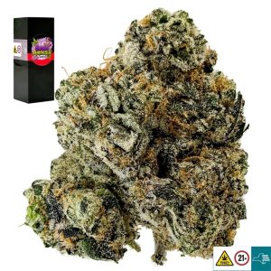 Sensi Amnesia Strain