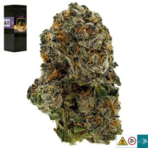 Space Lemon Cherry Strain
