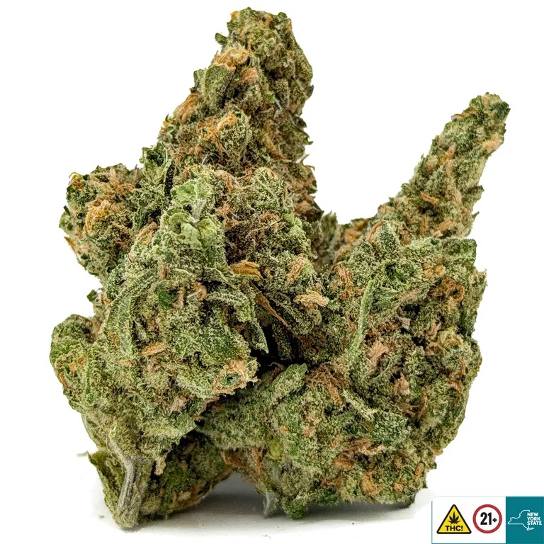 Blue Dream - Image 2