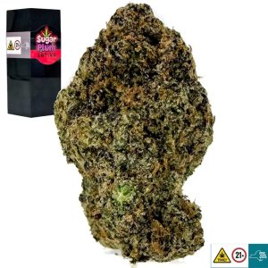 Sugar Plum Strain