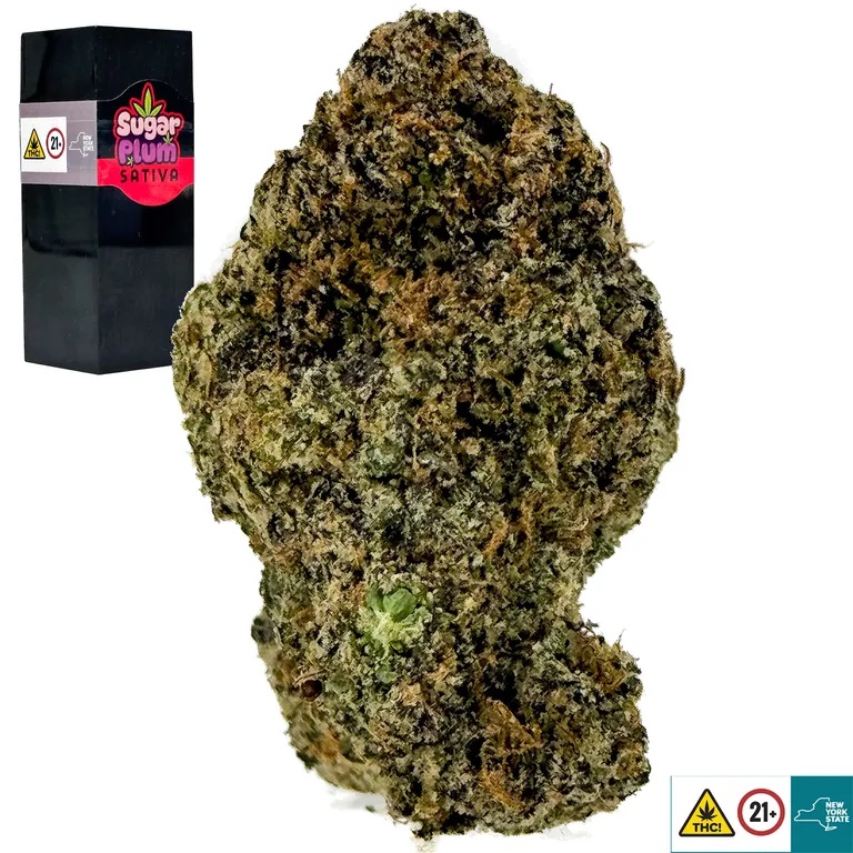 Sugar Plum Strain