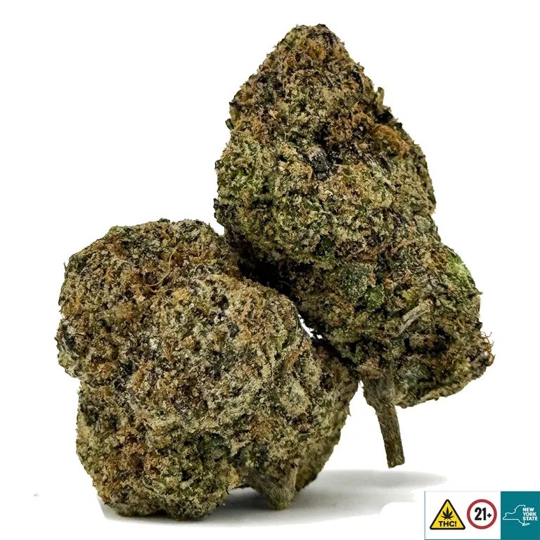 Sugar Plum Strain - Image 2