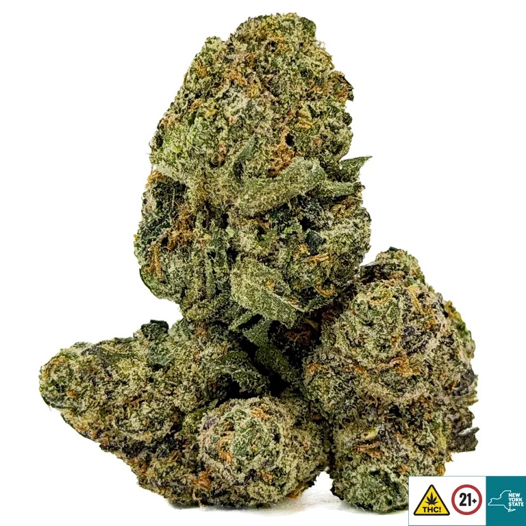 Island Sweet Skunk - Image 2