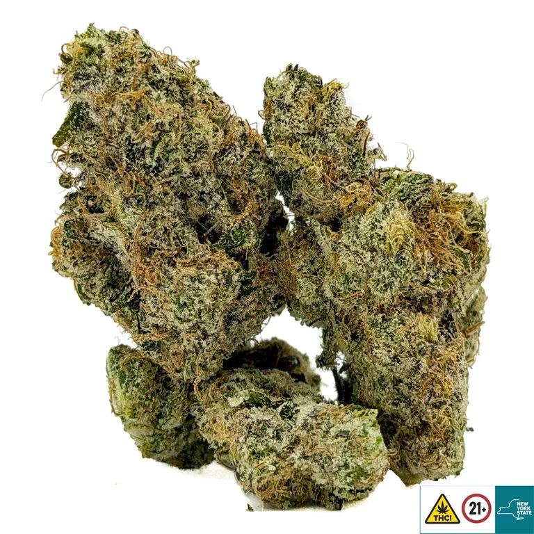 Hawaiian Punch Strain - Image 2