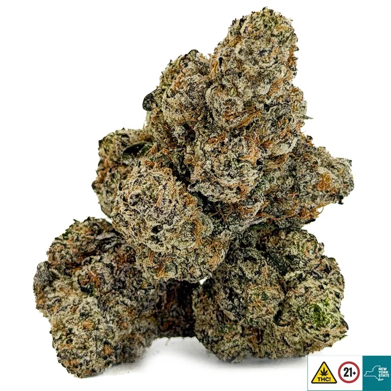 Cold Snap Strain - Image 2
