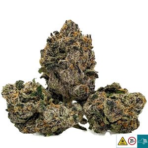 Alternative view of Lemon Girl Scout Cookies Strain