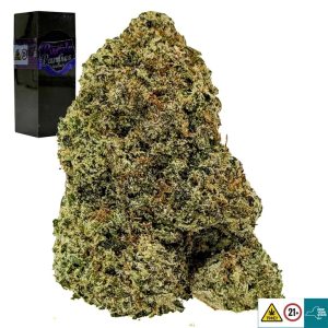 Purple Panties Strain