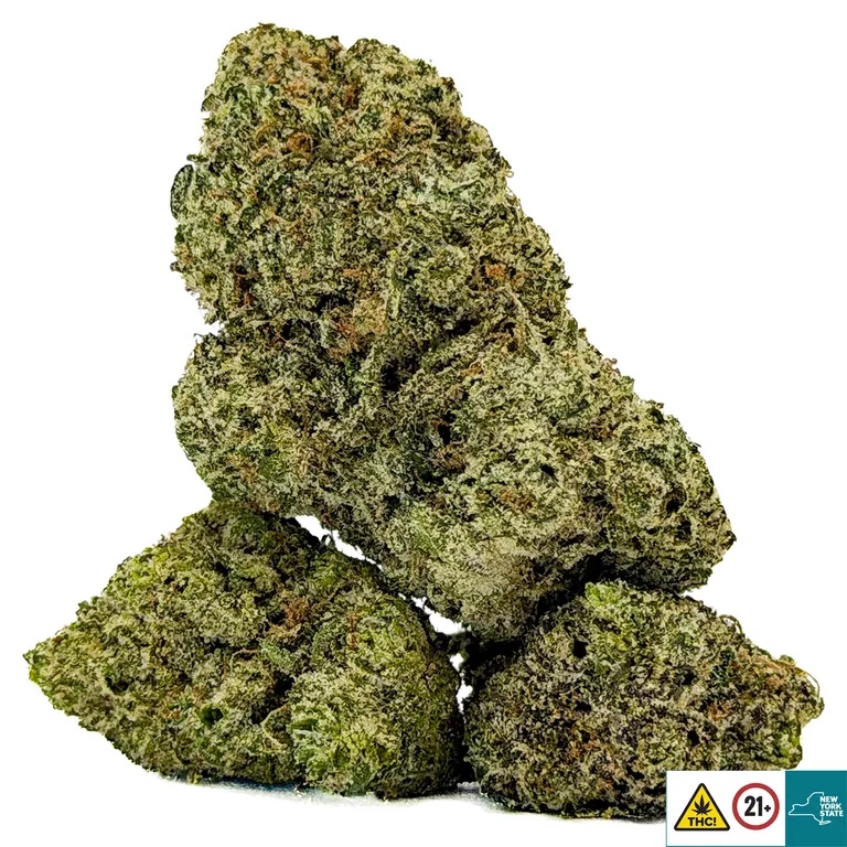Purple Panties Strain - Image 2