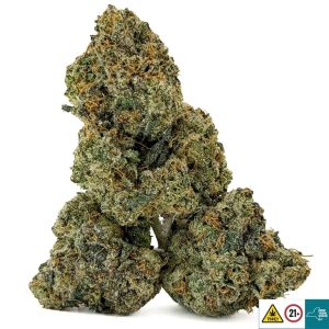 Alternative view of Gumbo Strain