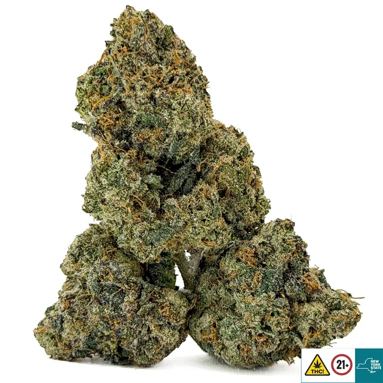 Gumbo Strain - Image 2