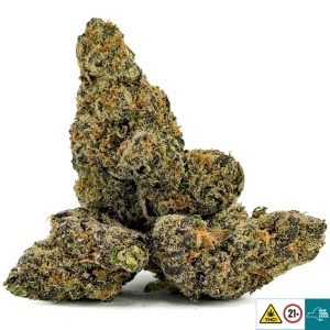 Alternative view of Nasty Girl Strain