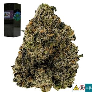 Galactic Runtz Strain