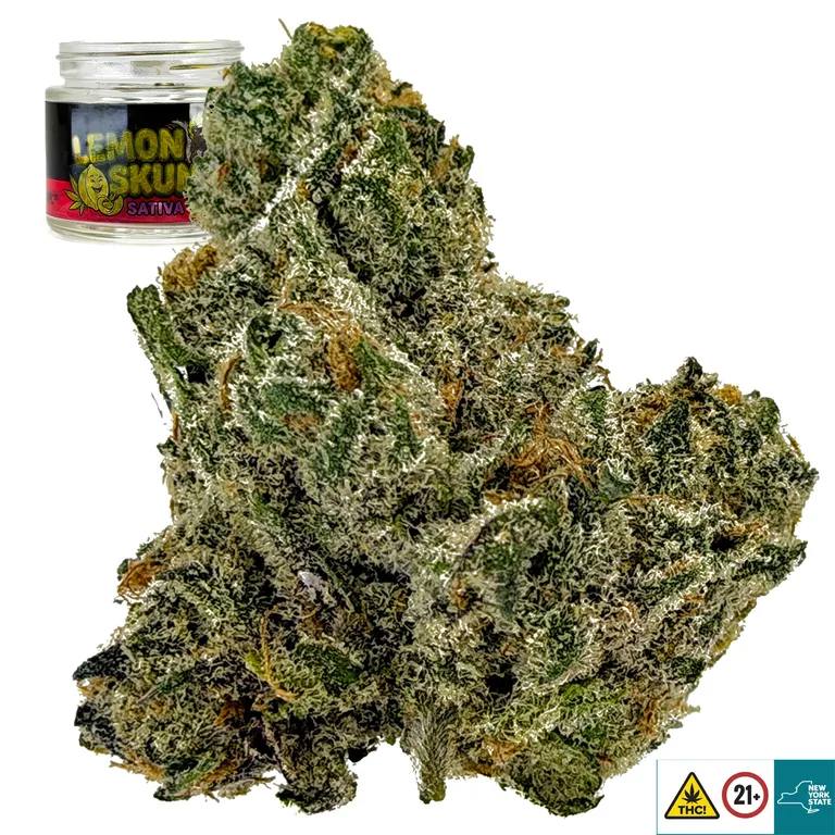 Lemon Skunk