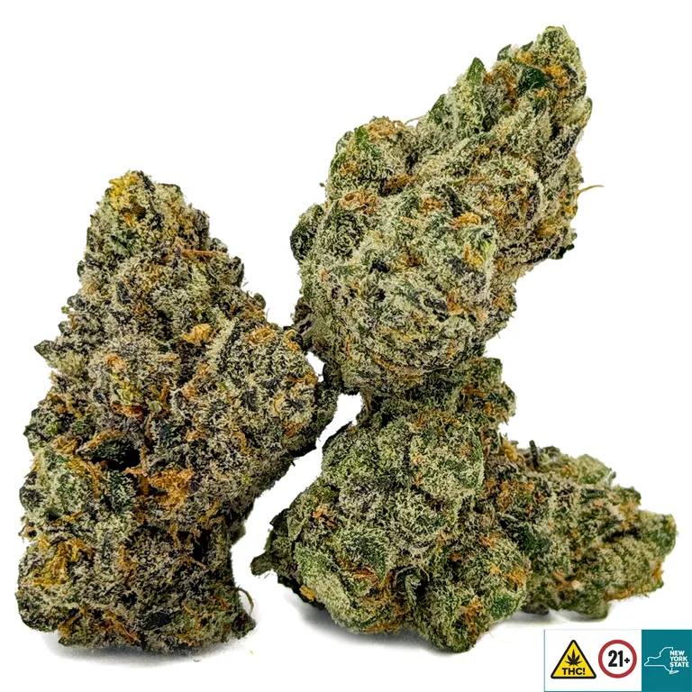 Lemon Skunk - Image 2